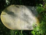 image number Spurling J 05065